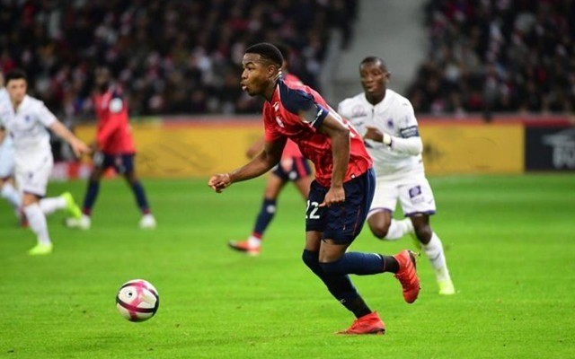 来更多的不 来更多的不