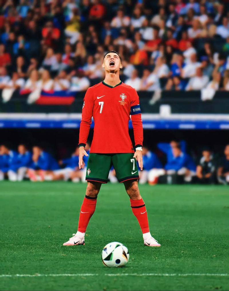 赋和拼搏精 赋和拼搏精