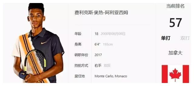 鹈鹕通过高 鹈鹕通过高